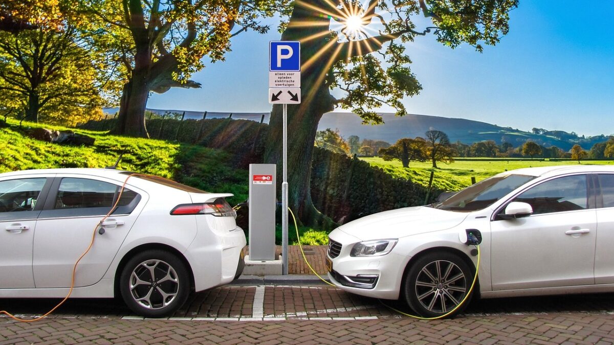 Deux voitures blanches branchées à une borne de recharge sur un pavé, sous un arbre, près d'un panneau de stationnement « P » réservé aux véhicules électriques, avec une campagne verdoyante en arrière-plan.