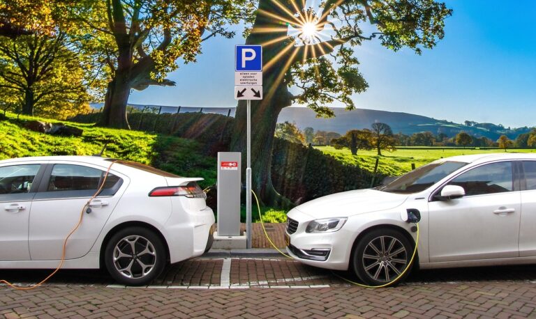 “Outrageous Waste of Life!”: Electric Cars Killed by 3-Year Lifespan While Gas Cars Live 12 Years