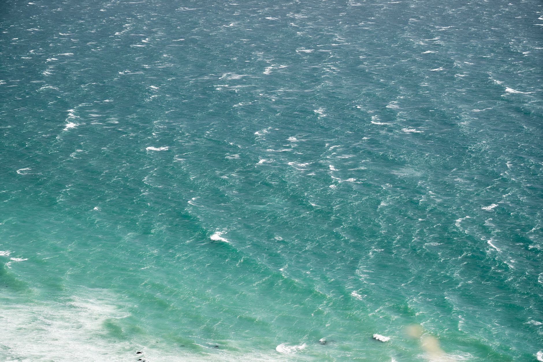Prochlorococcus, the ocean’s top microbe, can also live stuck to particles